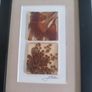 Unique artwork from Ocean Petals art studio are handmade with real Australian native fliowers Image 7