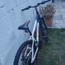 Apollo Evade mountain bike red/blue/white Image 3