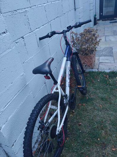 Apollo Evade mountain bike red/blue/white