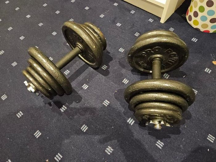 2x 20kg Cast Iron Dumbbells