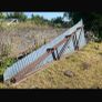 24 foot hay shed & 20 lean to - trusses & sheeting Image 9