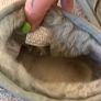 ugg ultra mini uk 8 Image 9