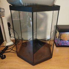 Hexagon Fish Tank for Free