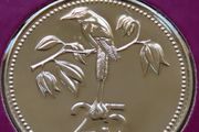 Rare Belize 1979 Coin Stamp cover BUNC Motmot only 808 coins made