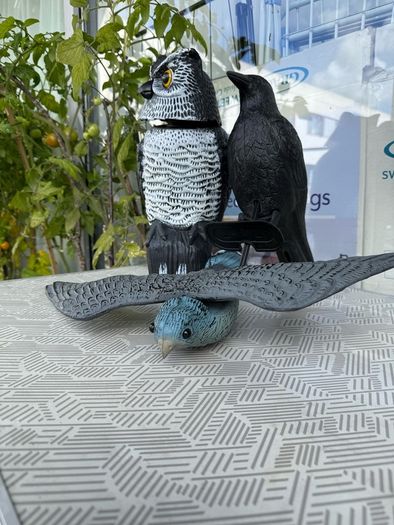 Scarecrow plastic birds for garden