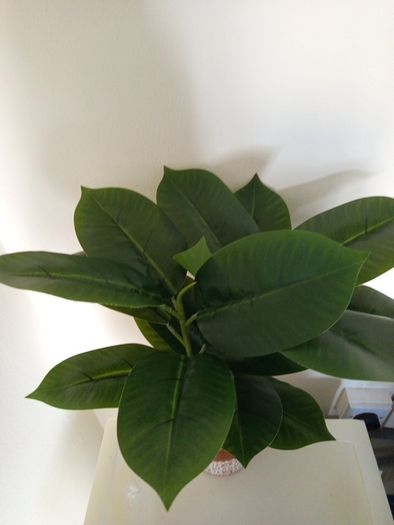 Fake plant
