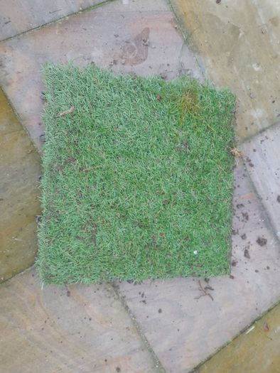15 Artificial Grass Tiles - 30x30cm
