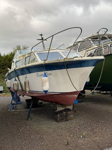 Project Cruisers End of Season sell off.