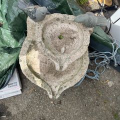 bird bath
