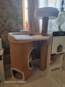 cat tower