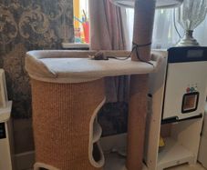 cat tower