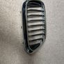 BMW Radiator Grills Image 3