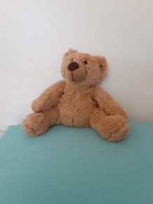 Teddy bear
