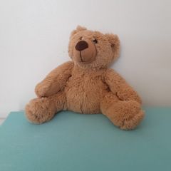 Teddy bear