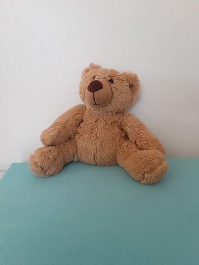 Teddy bear