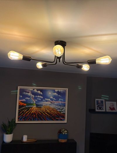 Modern Black Ceiling Light + 5 smart bulbs