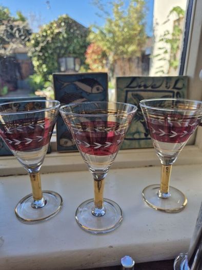Beautiful Vintage Coupe Glasses