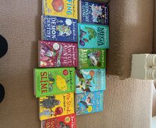 David Walliams books x 13