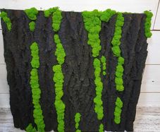Panel in stabilised black oak bark with live moss 50x50cm