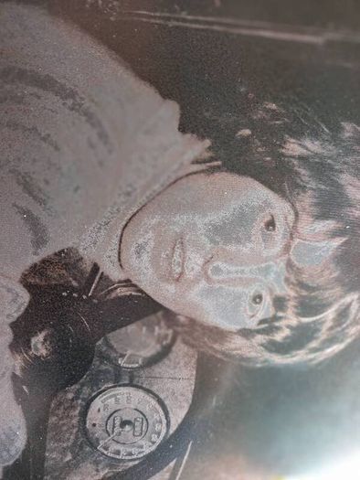 The beetles