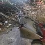 Lawnmower  and  strimmer Image 10