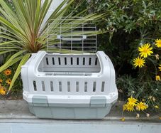 Small Pet Carrier