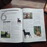 Encyclopedia of Dogs Image 5