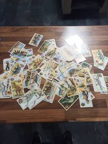 vintage orbis dinosaurs swap it cards