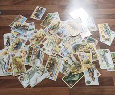 vintage orbis dinosaurs swap it cards