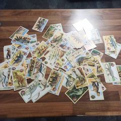 vintage orbis dinosaurs swap it cards