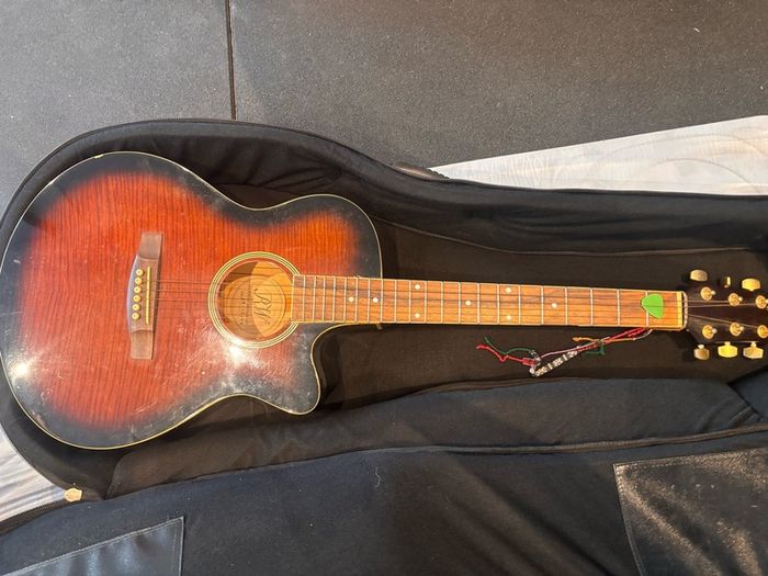 Richwood Artist Series electro-acoustic guitar and case