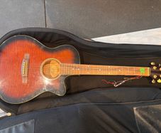 Richwood Artist Series electro-acoustic guitar and case
