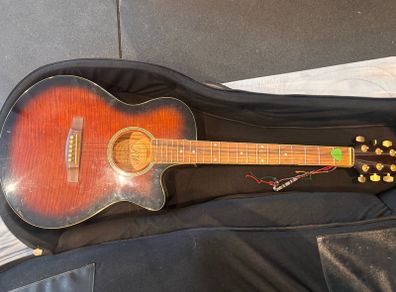 Richwood Artist Series electro-acoustic guitar and case