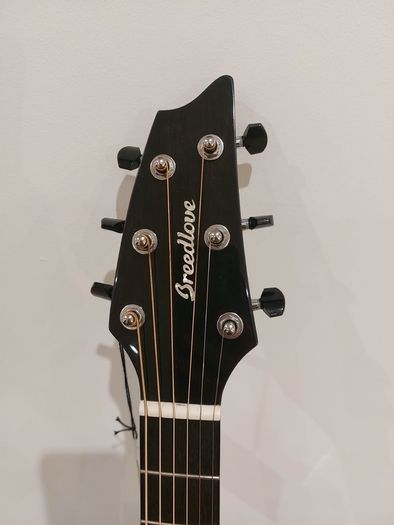Breedlove Concert Pro guitar.