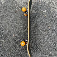 Skate board