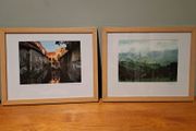 Framed pictures