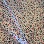 Burton long-sleeved shirt with delicate floral print Image 5