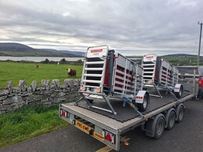 Portayards For Handling Sheep