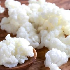 organic live kefir grains