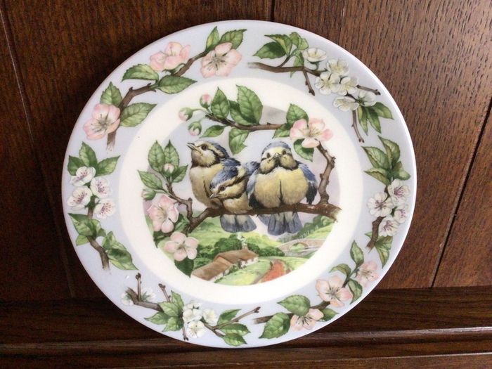 Royal Grafton Angus Mc Bride bird picture plate wheres breakfast