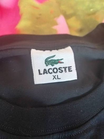 lacost t-shirt