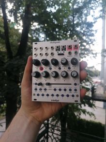Intellijel Multigrain