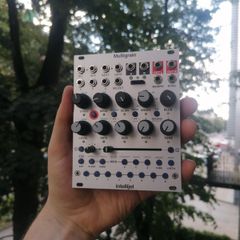 Intellijel Multigrain
