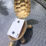 Brass turtle with lid, trinket or jewellery box, D18 post 7e Image 2