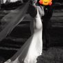 Wedding Dress and Veil Image 5