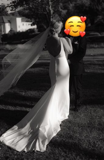 Wedding Dress and Veil