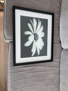 55cm X 45cm print