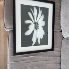55cm X 45cm print