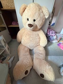 Extra Large Teddy