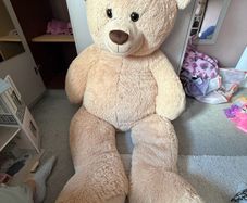 Extra Large Teddy